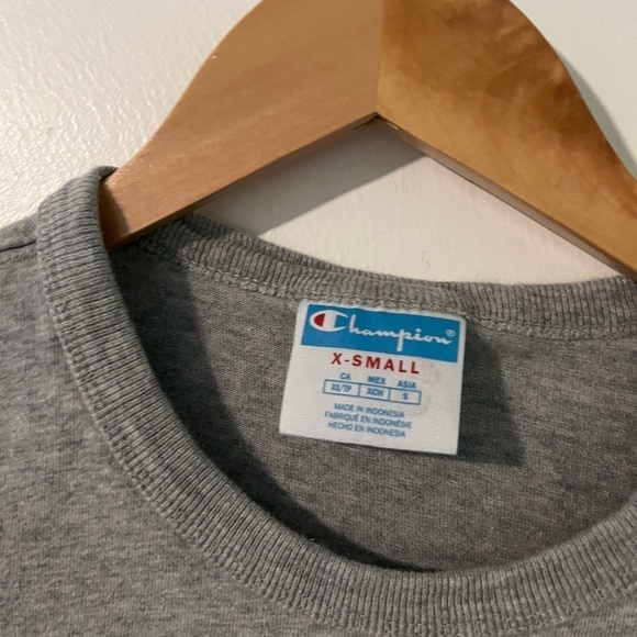 Champion Gray Logo Embroidered Crop Top - Picture 5 of 7